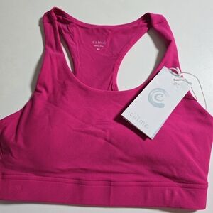 Calme Women's Pink Endurance Sports Bra